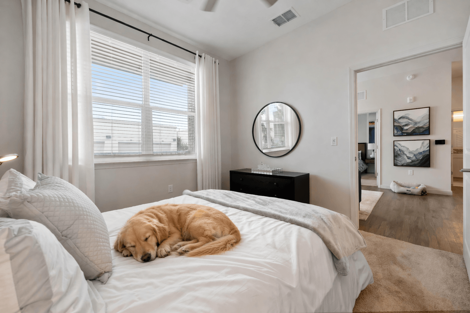 A dog is sleeping on a bed in a room with a round mirror on the wall.